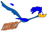 Road Runner Icon